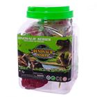 Picture of DINOZAURY W SLOIKU  SY9106  OTG0929989