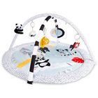 Picture of Canpol babies sensoryczna mata edukacyjna z lusterkiem BabiesBoo